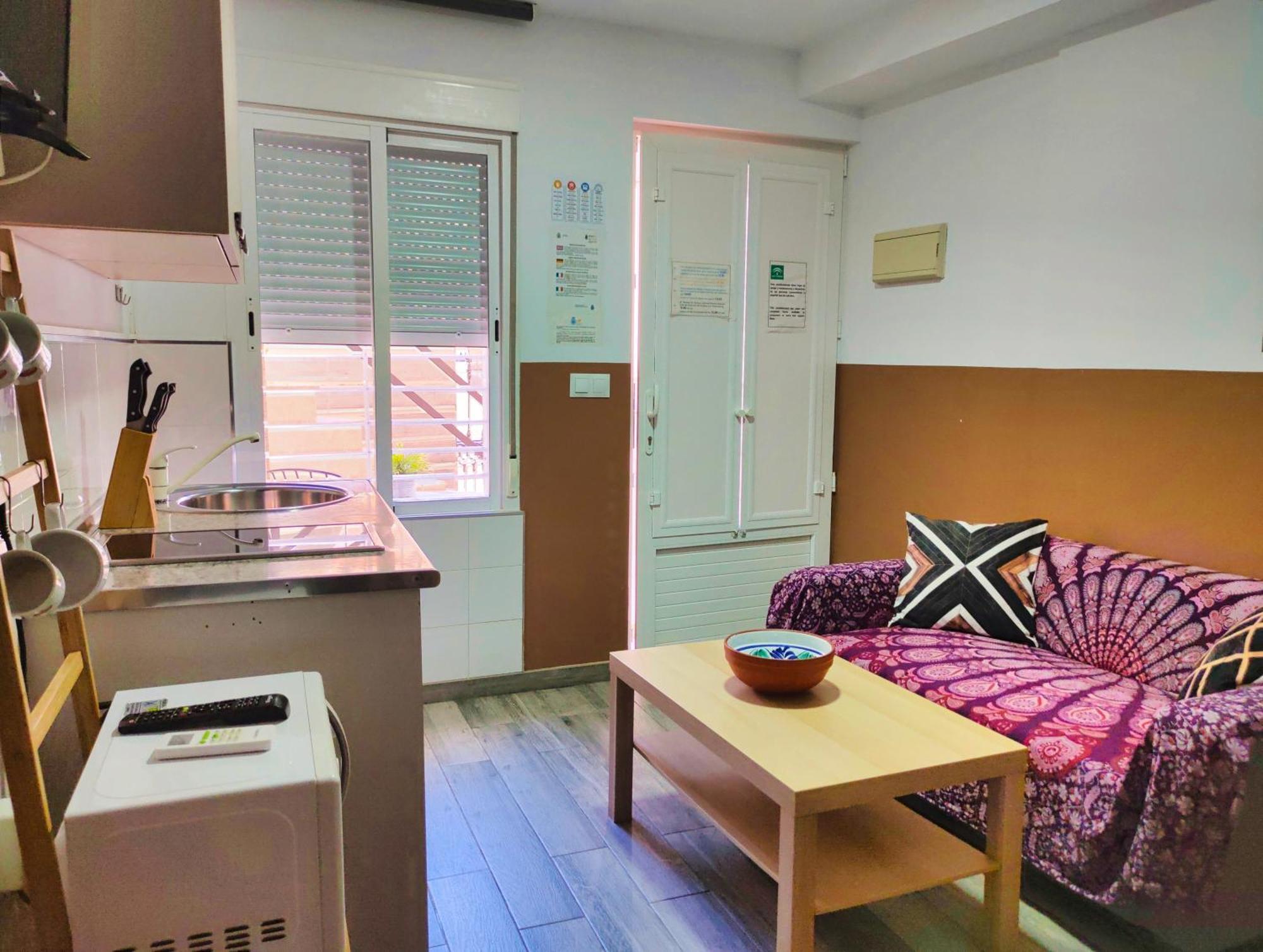 Premium With Terrace Apartament