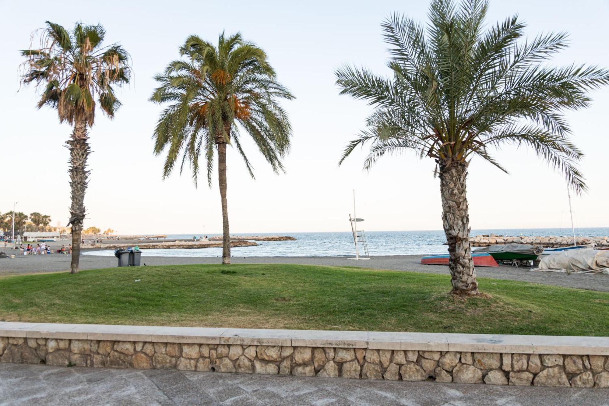 Premium With Terrace Appartement